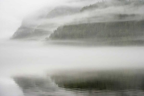 Canada, BC, Calvert Island Fog shrouded forest